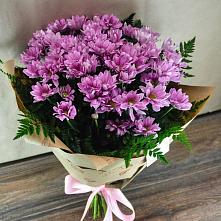 Букет цветов из:  Хризантемы #REPLACE_PRED# Некрасово