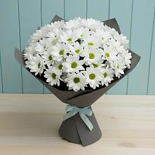 Букет цветов из:  Хризантемы #REPLACE_PRED# Некрасово