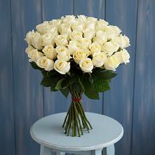 Букет 51 Белая роза Эдлесс Лав #REPLACE_PRED# Некрасово