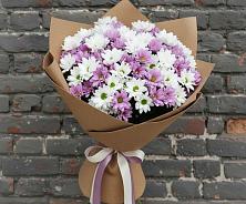 Букет цветов из:  Хризантемы #REPLACE_PRED# Некрасово