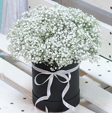 Цветочная композиция из Гипсофила в шляпной коробке #REPLACE_PRED# Некрасово