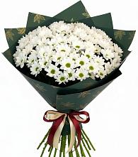 Букет цветов из:  Хризантемы #REPLACE_PRED# Некрасово